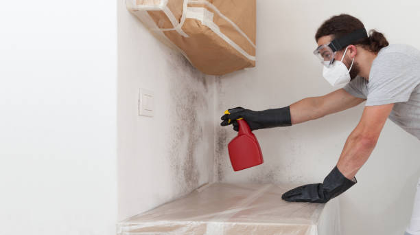 Professional Bathroom Mold Removal technician working in Princeton, NC