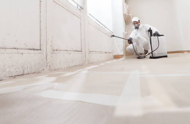 24/7 Emergency Bathroom Mold Removal experts in Princeton, NC
